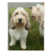 Petit Basette Griffon Vendeen Notitieboek (Voorkant)