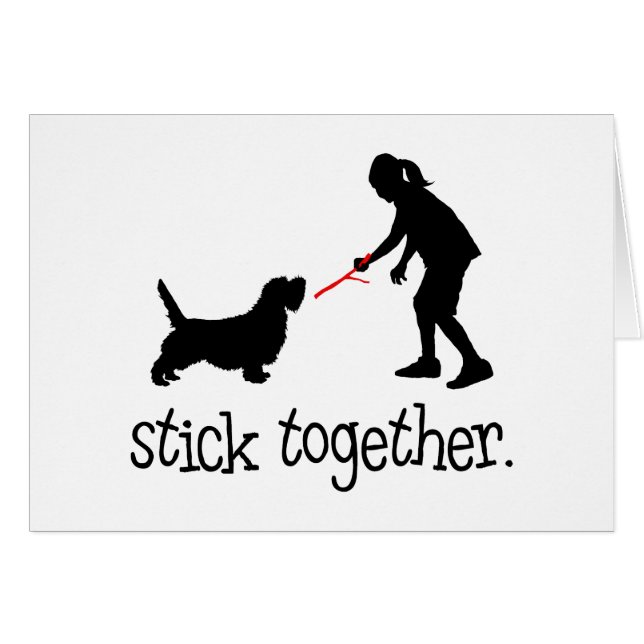 Petit Basset Griffon Vendeen (Voorkant Horizontaal)