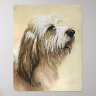 Petit Basset Griffon Vendeen Dog Art Print