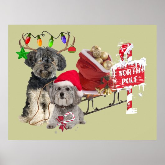 Petit Basset Griffon Vendeen North Pole Poster (Voorkant)