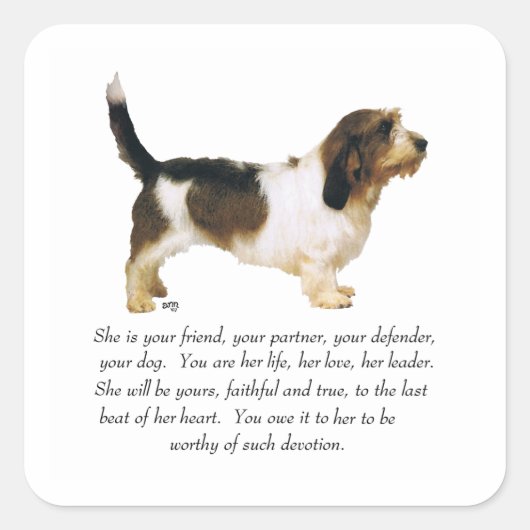 Petit Basset Griffon Vendeen Vrouw Vierkante Sticker (Voorkant)