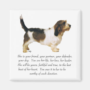 Petit Basset Griffon Vendeen vrouwelijk Magneet