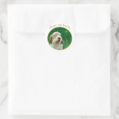 Petit Basset Griffon Vrede Ronde Sticker (Tas)