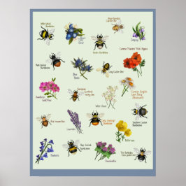 PetitArt | Britse bijen en wilde bloemen Poster