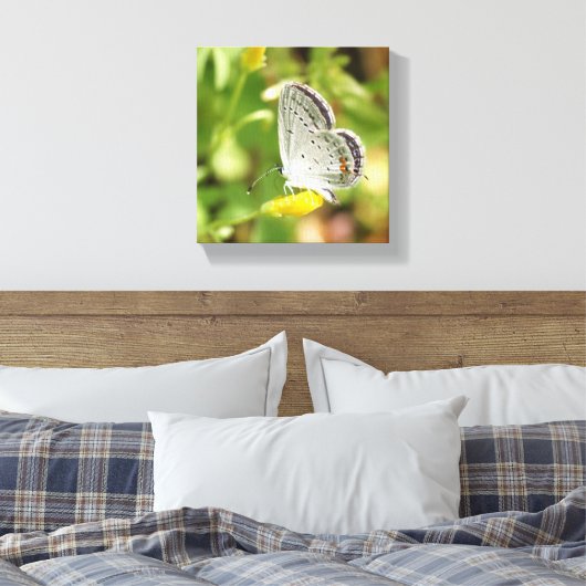 Petite Butterfly Canvas Afdruk (Insitu (Slaapkamer))