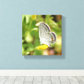 Petite Butterfly Canvas Afdruk (Insitu (Houten vloer))