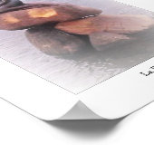 Petite Sirène Copenhagen Sculpture Statue Danemark Poster (Hoek)