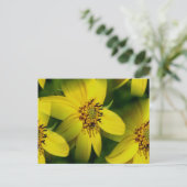 Petite Sunflower Fotografie-Briefkaart Briefkaart (Staand voorkant)
