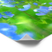 PETITES FLEURS BLEUES POSTER (Hoek)