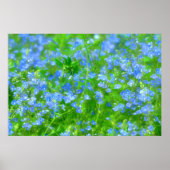 PETITES FLEURS BLEUES POSTER (Voorkant)