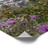 Petoskey Michigan Poster (Hoek)