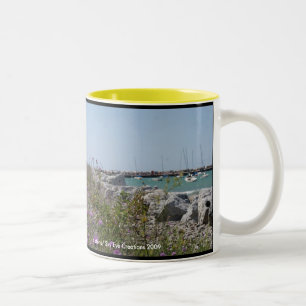 Petoskey Michigan Tweekleurige Koffiemok