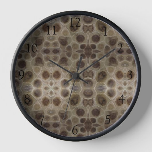 Petoskey Stone bruine bruine steenpatroon (Voorkant)