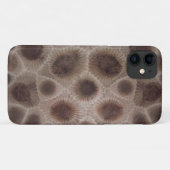Petoskey Stone Case-Mate iPhone Case (Achterkant (horizontaal))