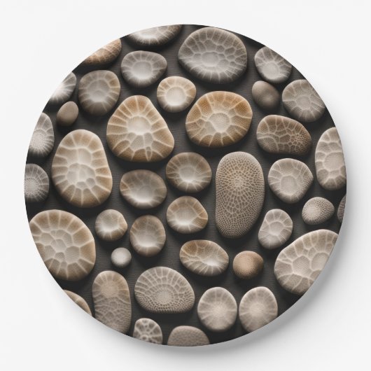 Petoskey Stone Collectie Papieren Bordje (Voorkant)