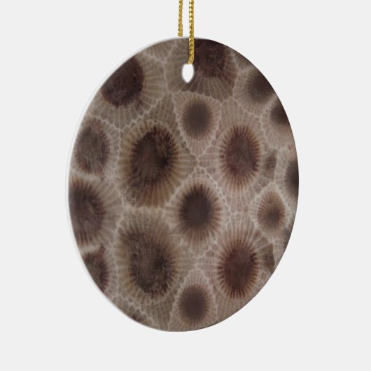 Petoskey Stone Keramisch Ornament (Rechts)