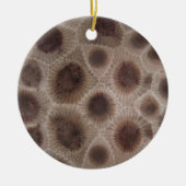 Petoskey Stone Keramisch Ornament (Voorkant)