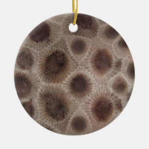 Petoskey Stone Keramisch Ornament