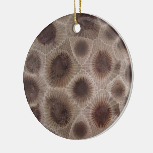Petoskey Stone Keramisch Ornament (Links)