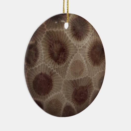 Petoskey Stone Keramisch Ornament (Rechts)