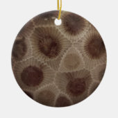 Petoskey Stone Keramisch Ornament (Voorkant)