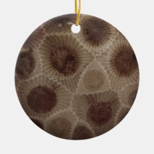 Petoskey Stone Keramisch Ornament (Voorkant)