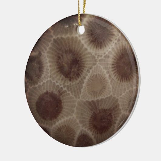 Petoskey Stone Keramisch Ornament (Links)