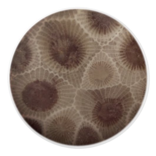 Petoskey Stone Keramische Knop (Voorkant)