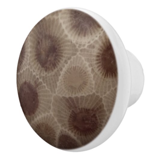 Petoskey Stone Keramische Knop (Rechts)