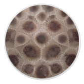 Petoskey Stone Keramische Knop (Voorkant)