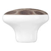 Petoskey Stone Keramische Knop (Zijkant)
