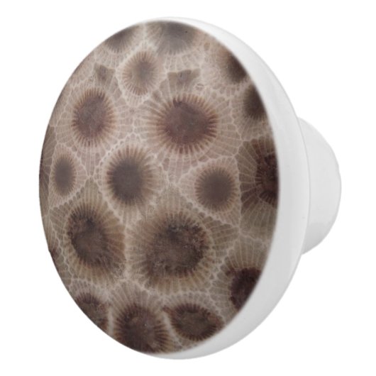 Petoskey Stone Keramische Knop (Rechts)