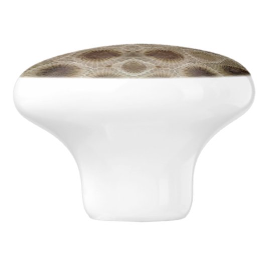 Petoskey Stone Keramische Knop (Zijkant)