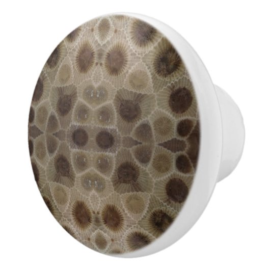 Petoskey Stone Keramische Knop (Rechts)