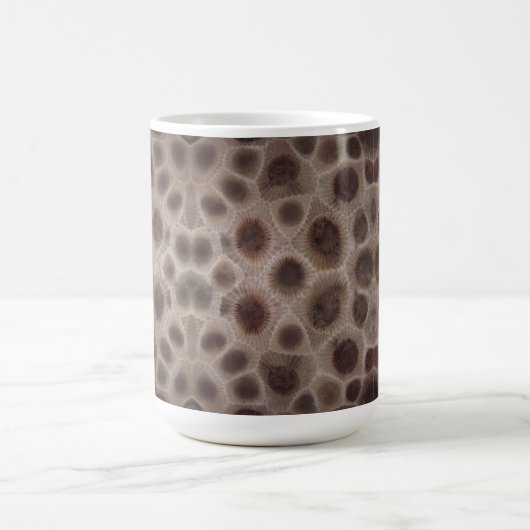 Petoskey Stone Koffiemok (Center)