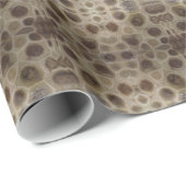 Petoskey Stone Michigan staat steen fossiel Cadeaupapier (Rol Hoek)