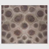 Petoskey Stone Michigan staat steen fossiel Cadeaupapier (Vlak)