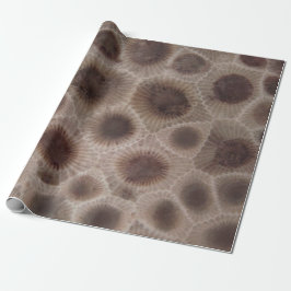 Petoskey Stone Michigan staat steen fossiel Cadeaupapier