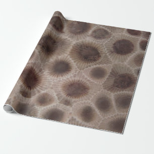 Petoskey Stone Michigan staat steen fossiel Cadeaupapier