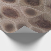 Petoskey Stone Michigan staat steen fossiel Cadeaupapier (Hoek)