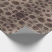 Petoskey Stone Michigan staat steen fossiel Cadeaupapier (Hoek)