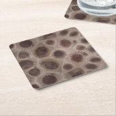 Petoskey Stone Michigan staat steen fossiel Kartonnen Onderzetters (Schuin)