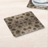 Petoskey Stone Michigan staat steen fossiel Kartonnen Onderzetters (Schuin)