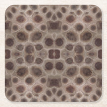 Petoskey Stone Michigan staat steen fossiel