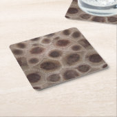 Petoskey Stone Michigan staat steen fossiel Kartonnen Onderzetters (Schuin)