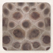 Petoskey Stone Michigan staat steen fossiel Kartonnen Onderzetters (Voorkant)