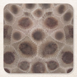 Petoskey Stone Michigan staat steen fossiel Kartonnen Onderzetters
