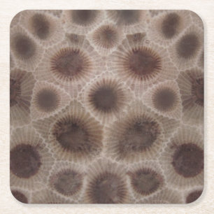 Petoskey Stone Michigan staat steen fossiel Kartonnen Onderzetters