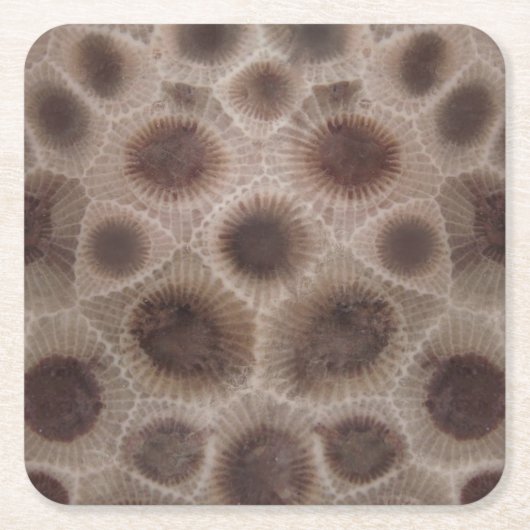 Petoskey Stone Michigan staat steen fossiel Kartonnen Onderzetters (Voorkant)