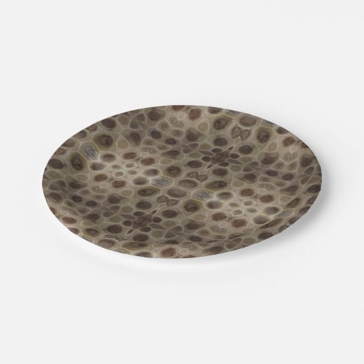 Petoskey Stone Michigan staat steen fossiel Papieren Bordje (Gekanteld)